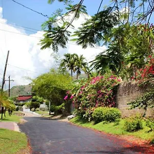 Widcombe 8 Jamaica